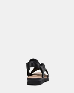 Hush Puppies