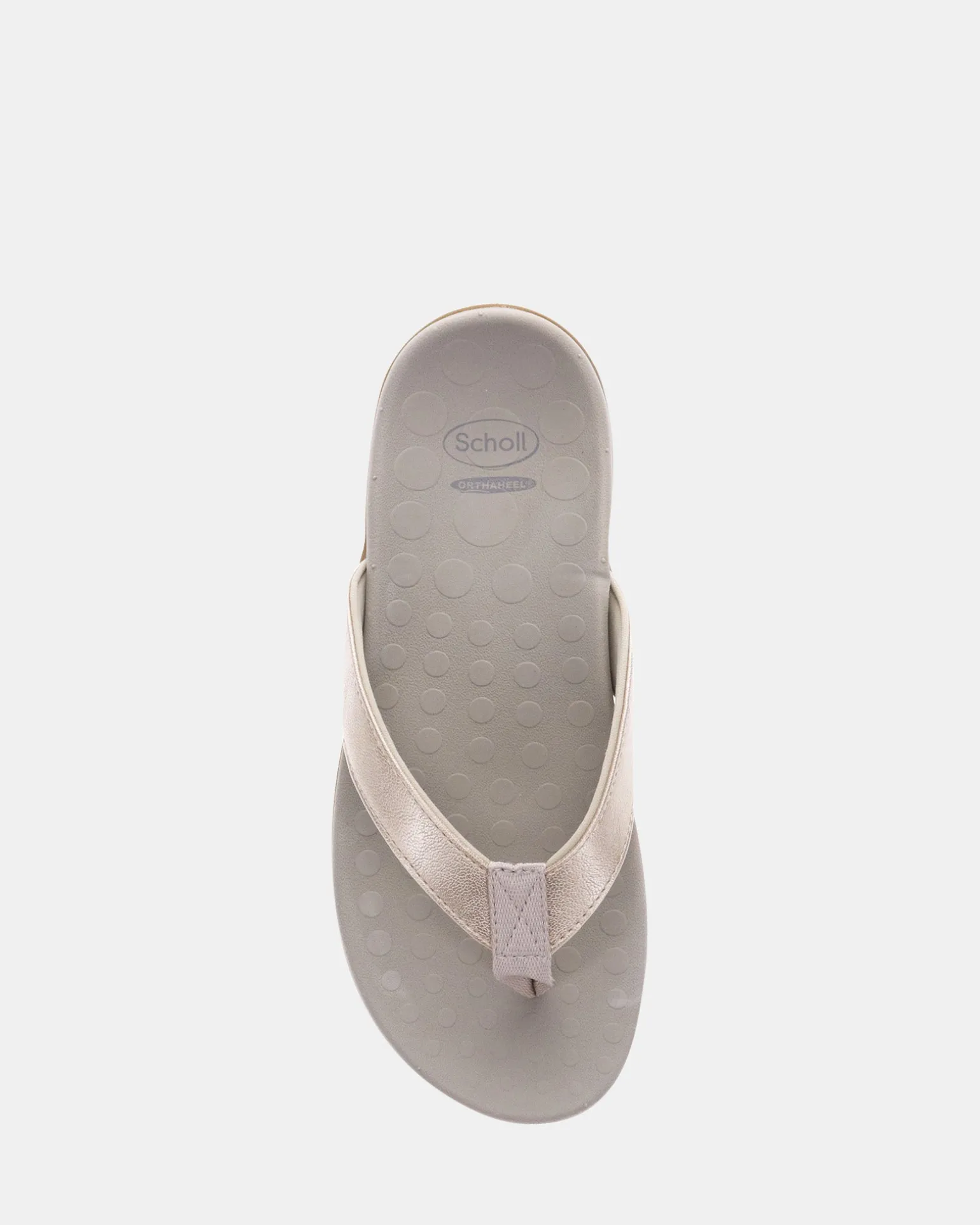 Scholl