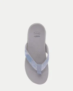 Scholl