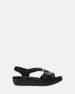 Scholl