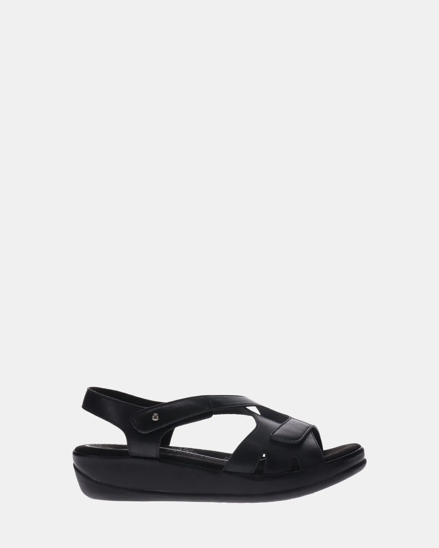 Scholl