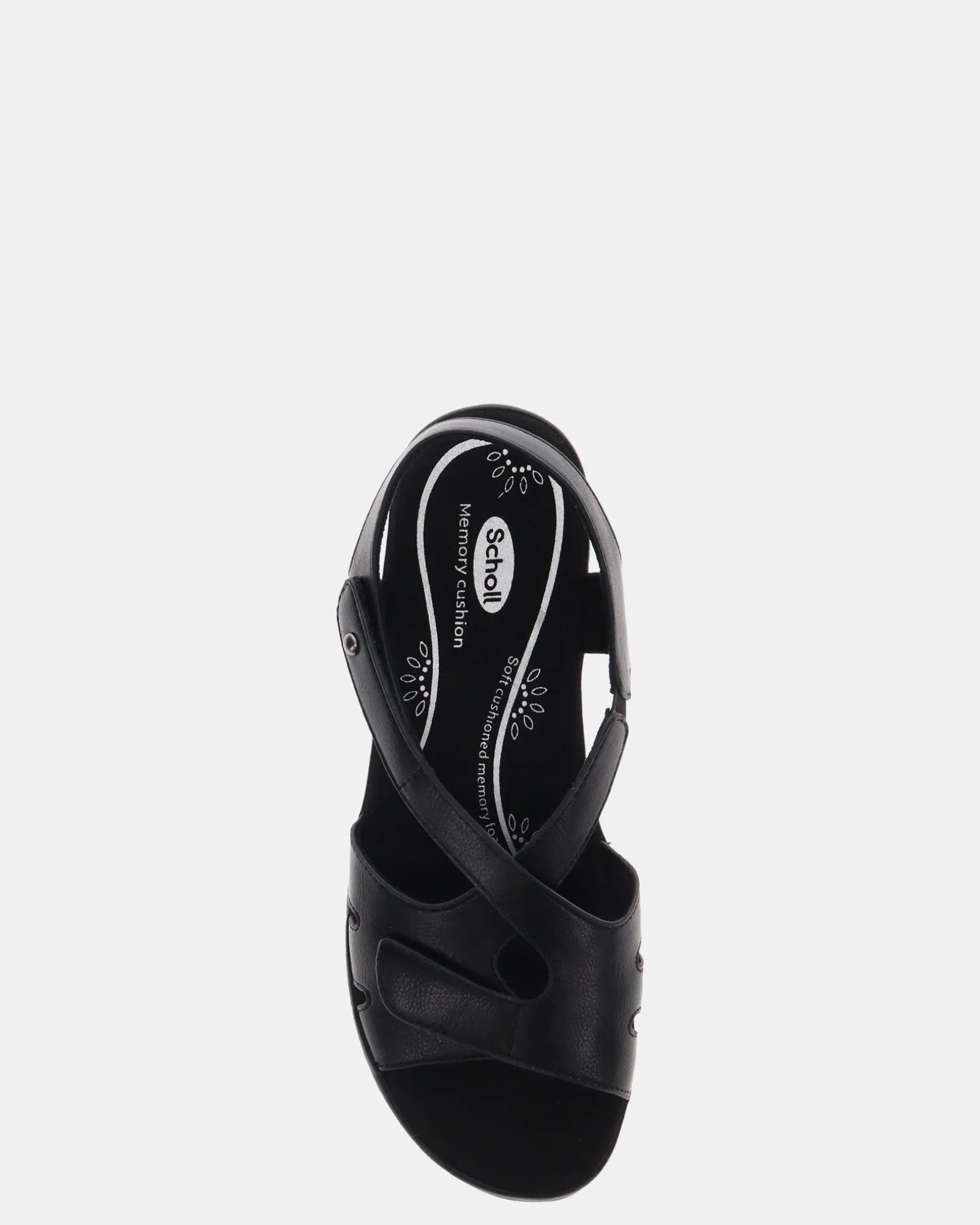 Scholl