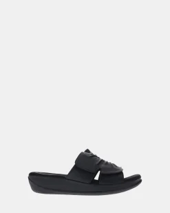 Scholl
