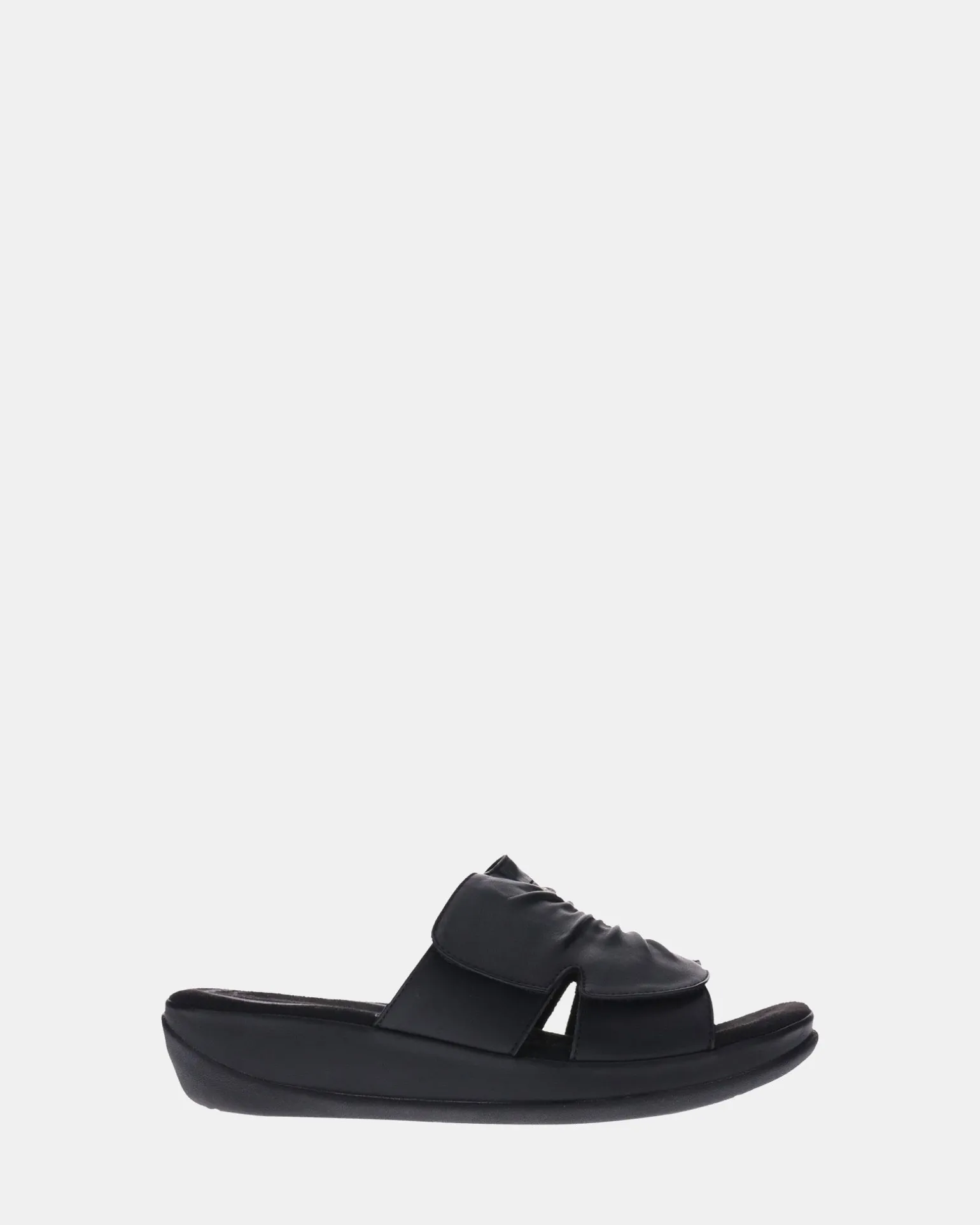 Scholl