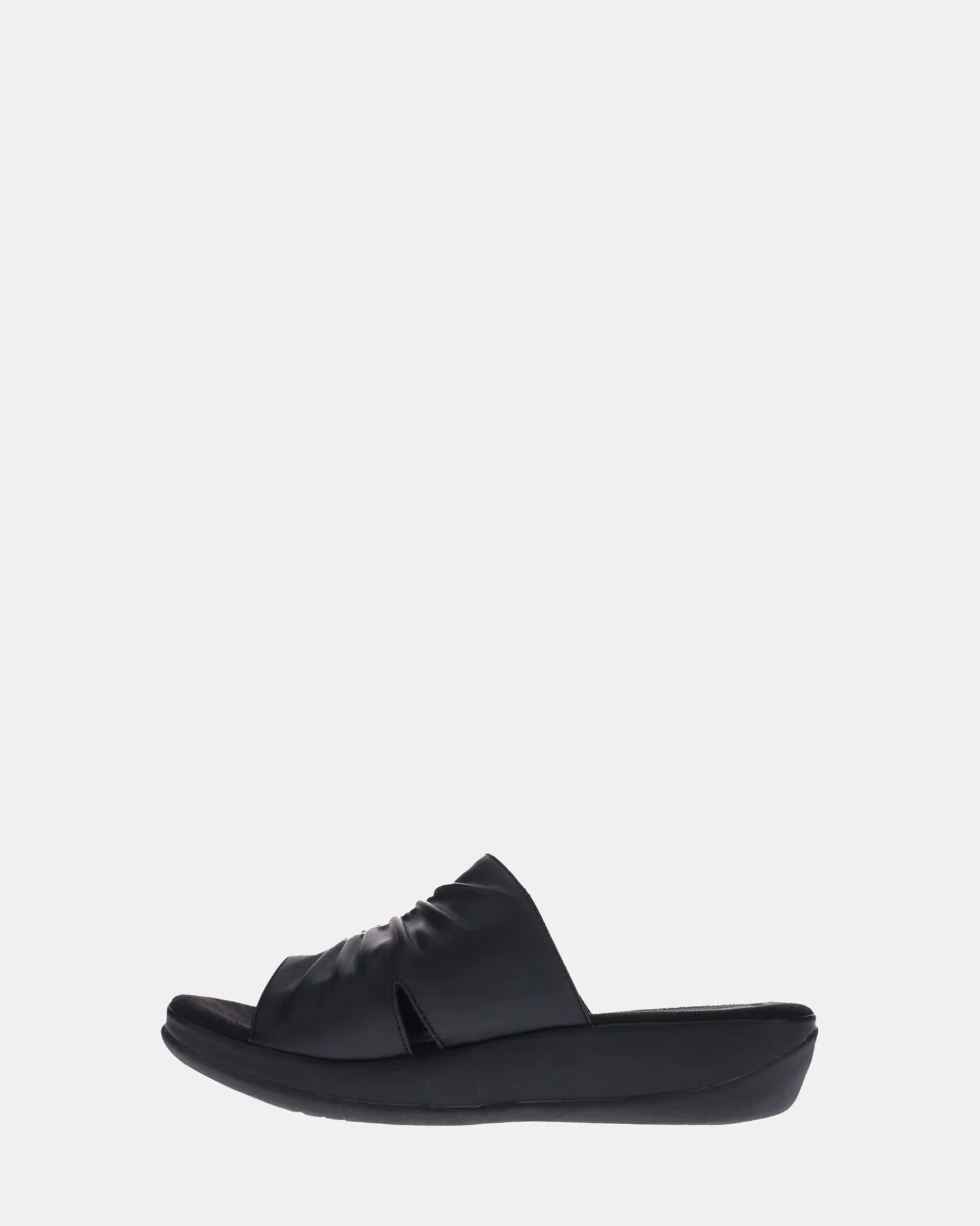 Scholl