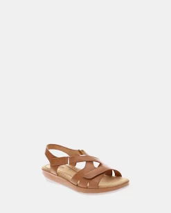 Scholl