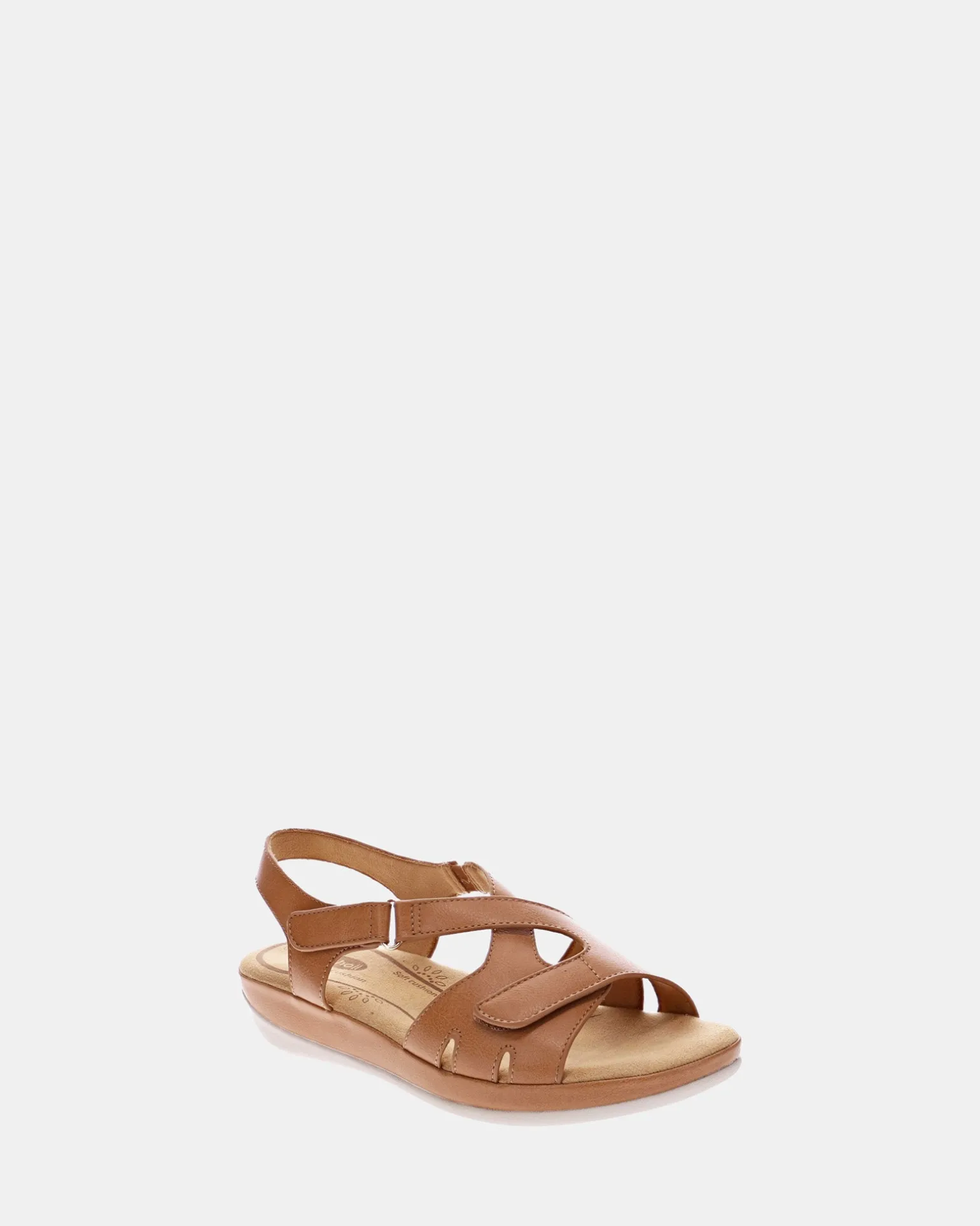 Scholl