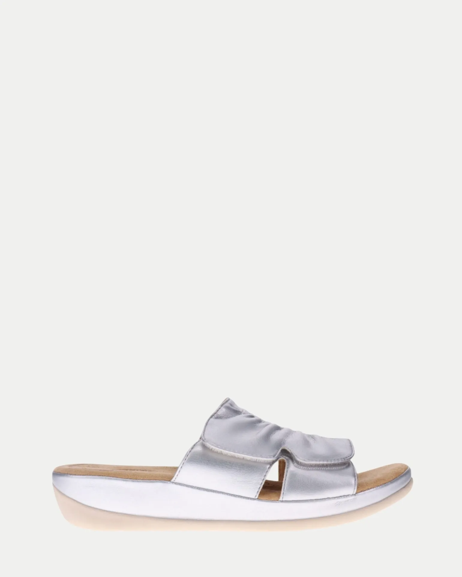 Scholl