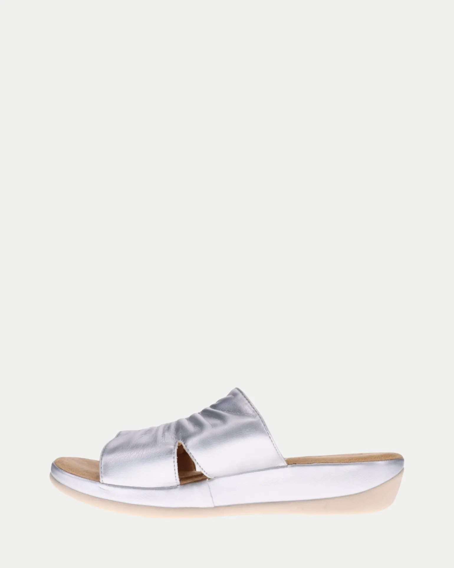 Scholl